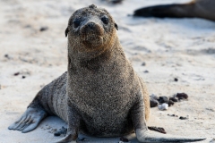 Phil_Serna_Photography_Galapagos2023-14