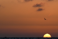 Phil_Serna_Photography_Galapagos2023-32