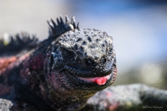 Phil_Serna_Photography_Galapagos2023-9