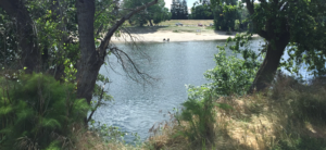 Discovery Park - American River Parkway Lower Reach