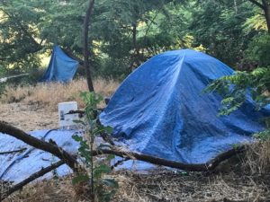 Illegal camp site in ARP