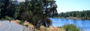 American River Parkway Bike Trail